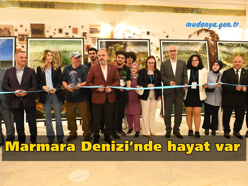 Bursa Büyükşehir Belediyesi tarafından hazırlatılan ‘Bursa Sualtı Belgeseli’, ‘Ölüyor’ denilen Marmara Denizi’nin zengin bir biyolojik çeşitliliğe sahip olduğunu gözler önüne serdi. Saatte 6 litre suyu süzen, nesli tüm dünyada tehlike altında olan ve Dünya Doğayı Koruma Birliği’nin kırmızı listesindeki pinalara Gemlik Körfezi’nde rastlandı.