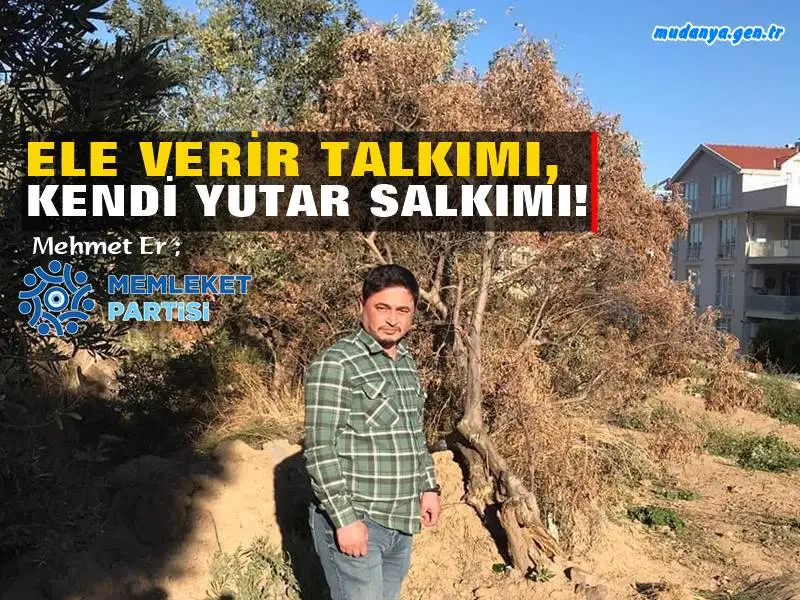 Mehmet ER " Zeytin Ağacıma Dokunma, Güzellemesi Yapacağınıza Dönüp Mazinize Bakın"
