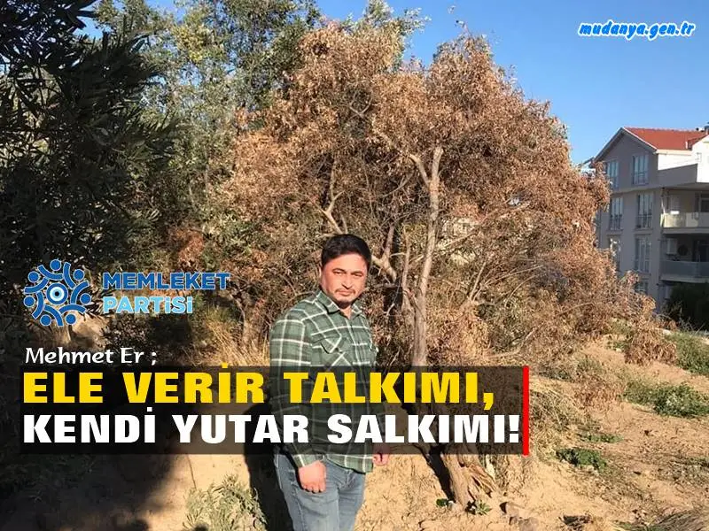 Mudanya Belediye Meclisi'nin Memleket Partili Üyesi Mehmet Er sosyal medya profilinden  "Zeytin Ağacıma dokunma"  açıklamasına katılan siyasi ve Mudanya Belediyesi yetkililerine tepki göstererek "Nesillerdir zeytincilikle uğraşan bir ailenin ferdi olarak bugün “Zeytin Ağacıma dokunma” diyerek şov yapanlara şunu soruyorum