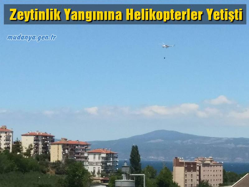 Mudanya ilçesi merkezinde Yeni Mahalle ile Işıklı kırsalı arasında yer alan zeytinlik alanda çıkan yangın, karadan ve havadan müdahalelerle söndürüldü.