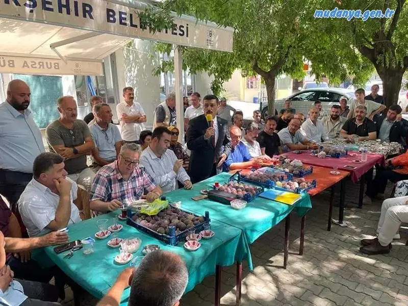 "Bursa’dan dünyanın her tarafına ihraç edilen incir, bu yıl dalında kaldı." diyen Bursa İYİ Parti İl Başkanı Selçuk Türkoğlu, Mudanya’nın Akköy Mahallesi’nde basın açıklaması yaptı.