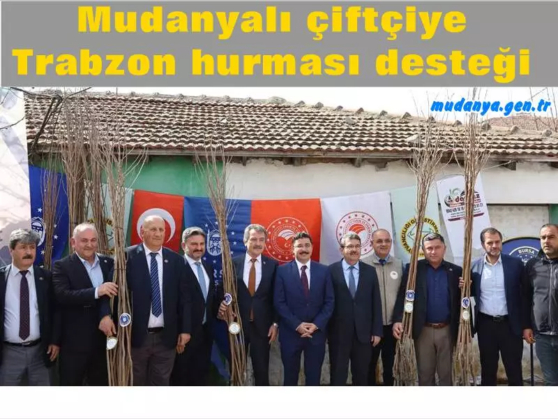 Bursa Büyükşehir Belediyesi, Hayvancılığı Geliştirme Birliği (HAGEL) ve Tarım ve Orman İlçe Müdürlüğü işbirliğinde Mudanyalı çiftçilere 400 adet Trabzon hurması fidanı dağıtıldı.