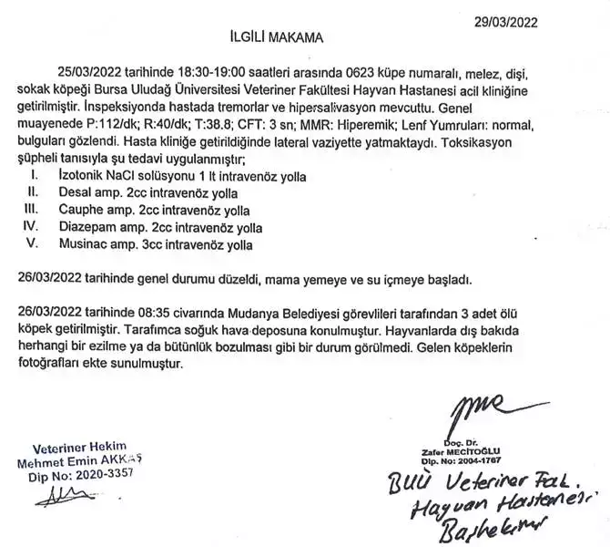 RAPOR  ULUDAĞ ÜNİVERSİTESİ VETERİNERLİK FAKÜLTESİ