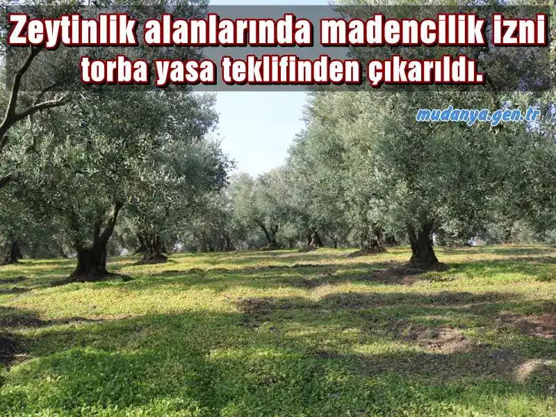 Zeytinlik alanlarında madencilik faaliyetlerine izin verilmesini öngören düzenleme torba kanun teklifinden çıkarıldı.