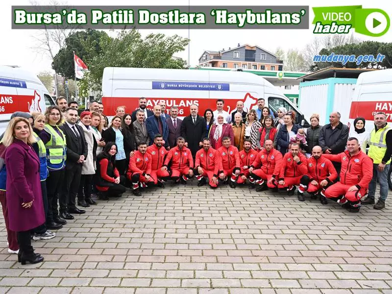 Bursa’da,sahipsiz sokak hayvanlarına sahip çıkan Büyükşehir Belediyesi, şimdi de 3 adet ‘Haybulansı’ hizmete aldı. Böylelikle herhangi bir sebeple yaralanan patili dostlara haybulanslarla anında müdahale edilebilecek.
