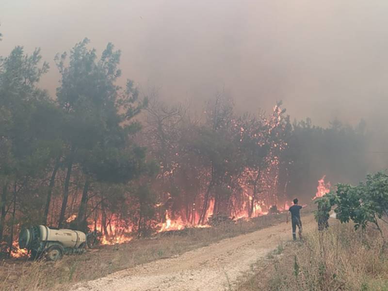 Bursa kent merkezi ile Mudanya arasında tepelik alanda kırsal Göynüklü Mahallesi yakınında henüz belirlenemeyen nedenle yangın çıktı. İhbar üzerine bu alana Bursa Orman Bölge Müdürlüğü ile Büyükşehir Belediyesi İtfaiye Dairesi Başkanlığı ekipleri sevk edildi.