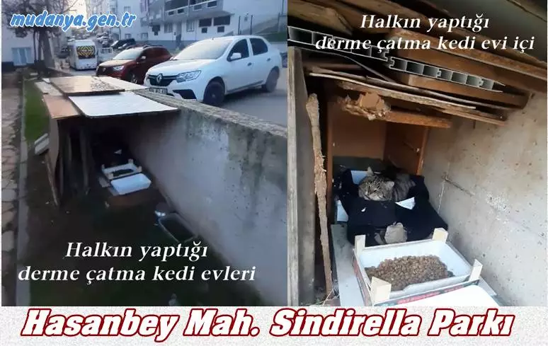Halkın yaptığı derme çatma kedi evi. Mudanya Hasanbey Mahallesi Sindirella Parkı