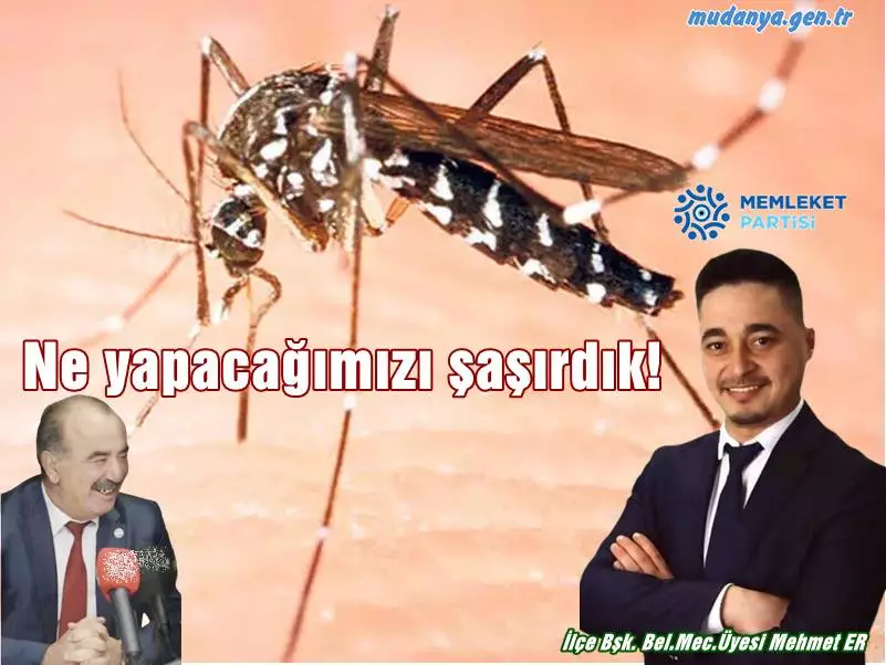 Memleket Partisi Mudanya İlçe Başkanı ve Belediye Meclisi Üyesi Mehmet Er Mudanya'da görülen kaplan sivrisineklerinin vatandaşa zor anlar yaşattığını adeta çaresiz bıraktığını söyledi. Mudanya Belediye Başkanı Hayri Türkyılmaz'ın sorunlara sahip çıkamadığını dile getiren Mehmet Er açıklamasında şu satırlara yer verdi.