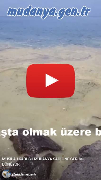 Mudanya sahilinde bu sabah denizde görülen bulanıklık ve kütleler müsilaj şüphesi yarattı. video
