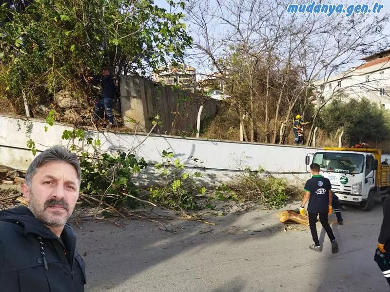 Güzel Sanatlar Fakültesi Su Deposu Mevki BUSKİ bahçesinde bulunan ve dalları yola sarkarak rampa yukarı çıkan araçların görüşünü engelleyen yayalara sorun çıkaran ağaçların budanması için girişimde bulunan Muhtar Şeref ŞAŞ Bursa Büyükşehir Belediyesine teşekkür etti.