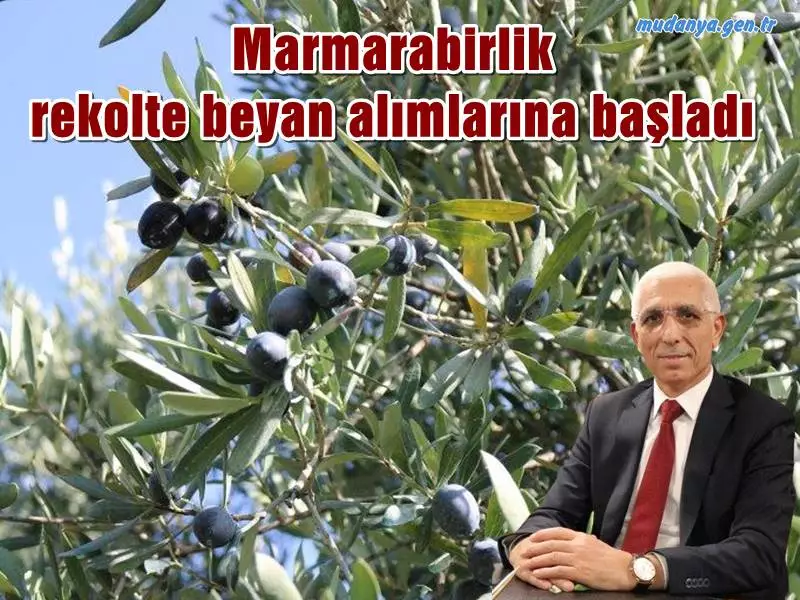 asdfasdfd