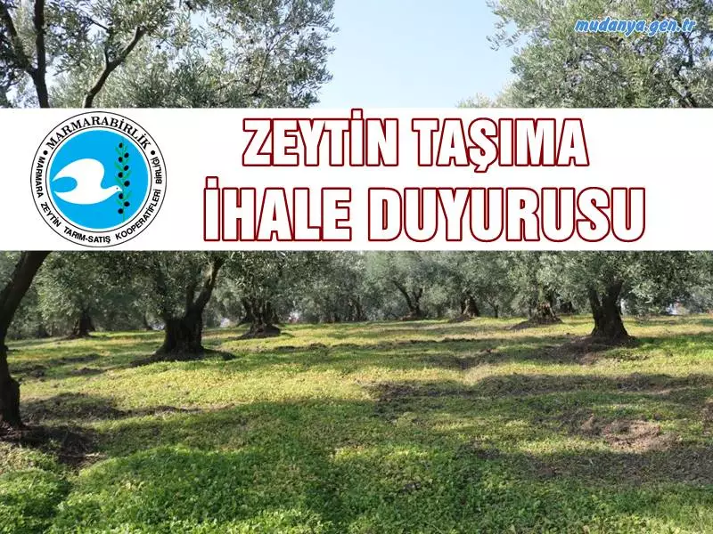 Marmarabirlik' 2023 / 2024 Iş yılı Zeytin Alım Kampanyasında, köy alım merkezlerinde ortak üreticilerden alınan zeytinlerin Kooperatif depolarına taşınması işi ile ilgili olarak Zeytin Taşıma İhalesi yapılacağını duyurdu. Yapılan duyuruda;