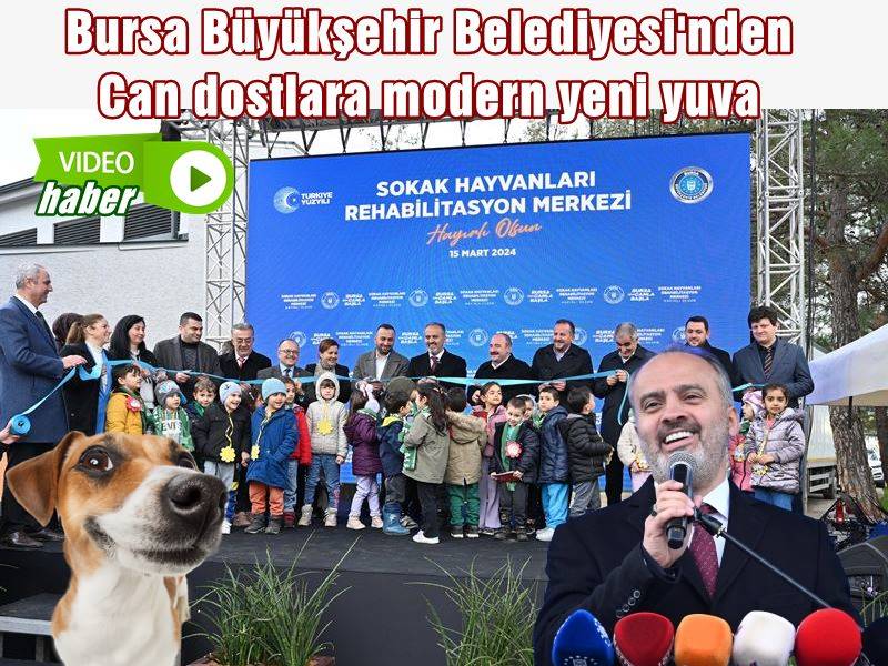 Bursa Büyükşehir Belediyesi’nin sahipsiz sokak hayvanlarını sıcak bir yuvada buluşturacağı Türkiye’nin en modern ‘Sokak Hayvanları Rehabilitasyon Merkezi’, düzenlenen törenle hizmete açıldı. 