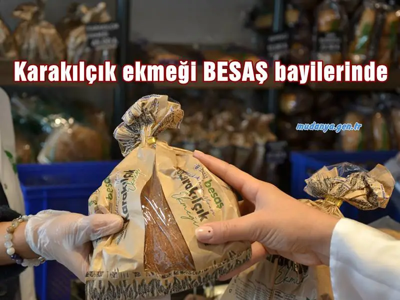 Bursa Büyükşehir Belediyesi iştiraklerinden BESAŞ, ata tohumu siyez buğdayının ardından Anadolu’nun mirası karakılçık buğdayından ürettiği ekmekleri de sofralarla buluşturuyor.
