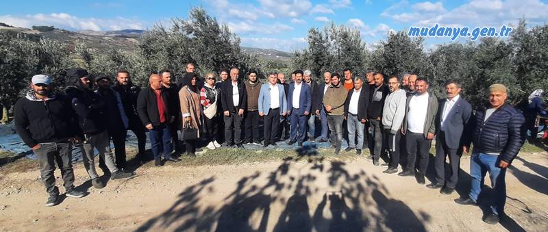 ZEYTİNCİ ÜRÜN ALIM FİYATLARINA TEPKİLİ - MUDANYA ÇEPNİ 5 KASIM 2024 