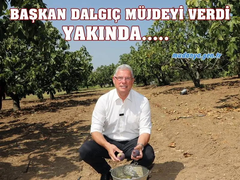 Avrupa Birliği’nden coğrafi işaret tescili alan Bursa siyah incirinin hasadına katılan Mudanya Belediye Başkanı Deniz Dalgıç, yakında hizmete girecek soğuk hava deposu ve soğuk kurutma tesisleriyle Mudanya’nın bütün ürünlerini marka haline getireceklerini söyledi.