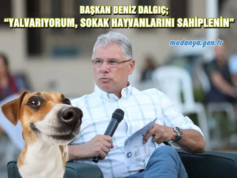 Mudanya Belediye Başkanı Deniz Dalgıç, TBMM'de kabul edilen Hayvanları Koruma Kanunu’nu bu haliyle uygulamayacaklarını belirterek, “Sokak hayvanları zor şartlarda yaşıyor. Sizlere yalvarıyorum; biz kısırlaştıralım, sizler de sahiplenin” dedi.