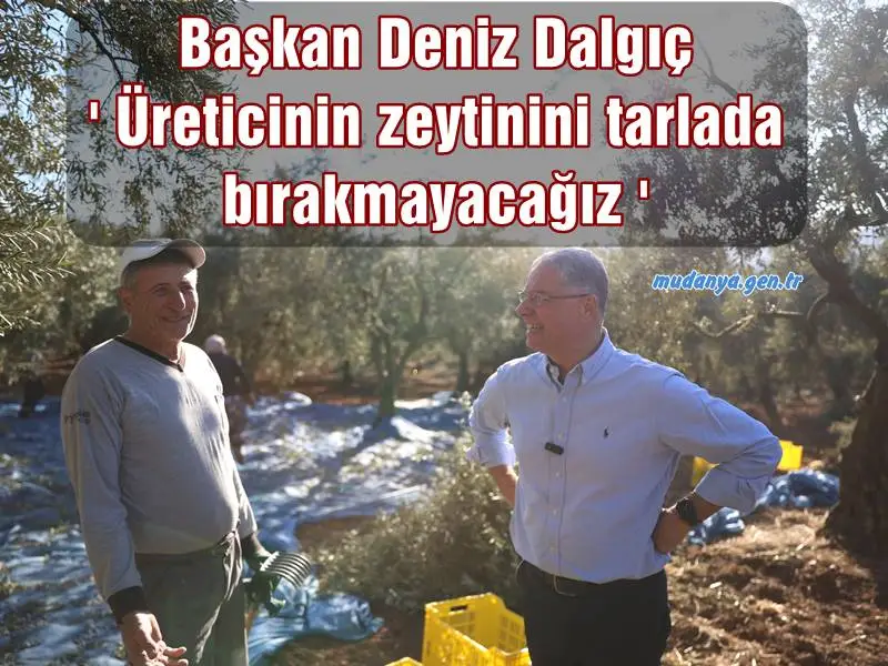 Zeytin hasadı yapan üreticileri tarlada ziyaret eden Mudanya Belediye Başkanı Deniz Dalgıç, her zaman çiftçinin yanında olacaklarını belirterek, “Üreticinin zeytinini tarlada bırakmayacağız” dedi.