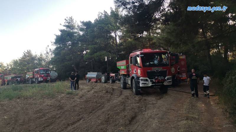 Mudanya Göynüklü Mahallesi’nde çıkan orman yangını, ekiplerin hızlı müdahalesiyle kontrol altına alındı.