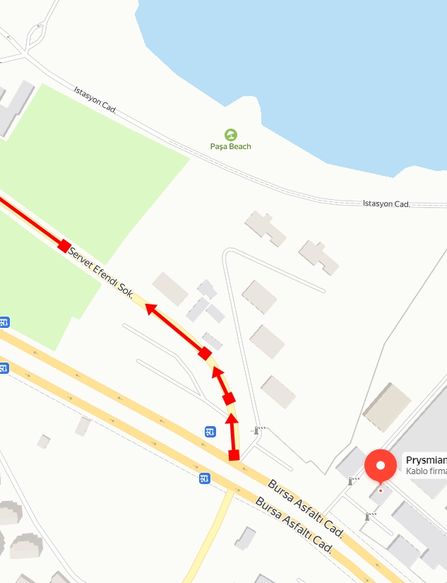 Mudanya'da aydınlatması olmayan Servet Efendi sokak korku salıyor.