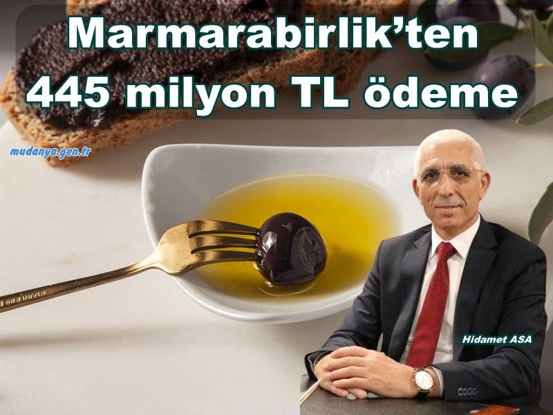 Marmarabirlik’ten Zeytin Üreticisine 445 milyon TL ödeme