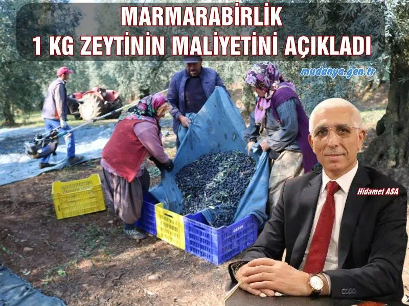 MARMARABİRLİK 1 KG ZEYTİNİN MALİYETİNİ AÇIKLADI