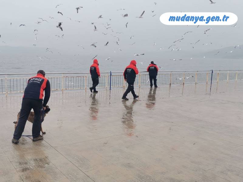 kayip adam mudanya sahilinde araniyor afad