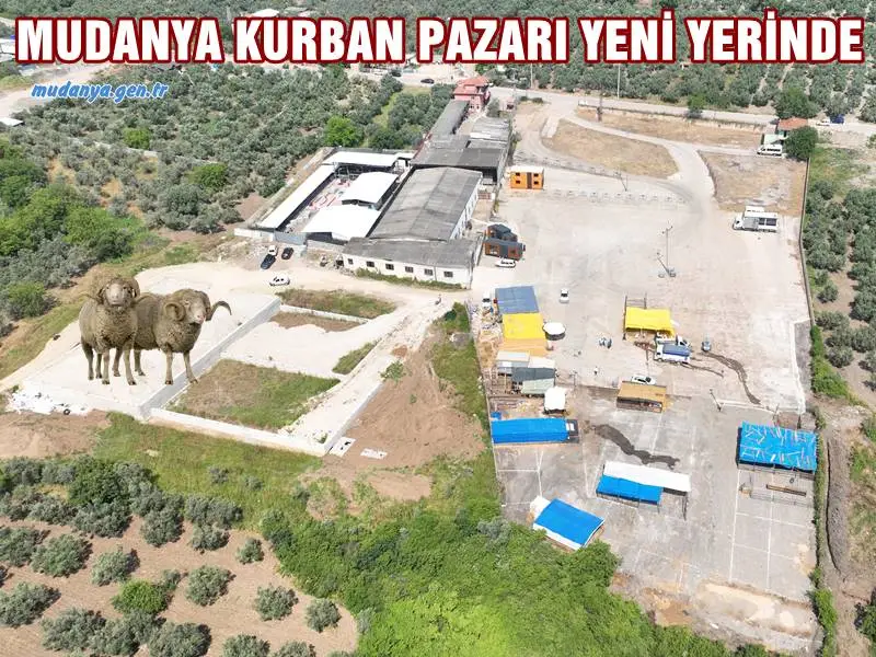 Kurban Bayramı öncesi vatandaşların ve besicilerin alışverişlerini sorunsuz bir şekilde yapabilmesi amacıyla Mudanya’da kurulan kurban pazarı yeni yerinde hizmet vermeye başladı.