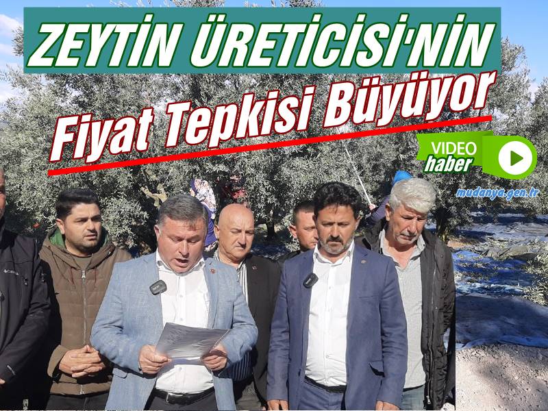 Mudanyalı Muhtarlar ve zeytin üreticileri, Muhtarlar Derneği Başkanı Levent Aşçı öncülüğünde, Çepini Mahallesi'nde toplanarak zeytin avans fiyatlarına tepki açıklaması yaptılar.