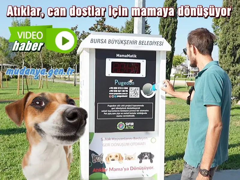Atıklar, can dostlar için mamaya dönüşüyor