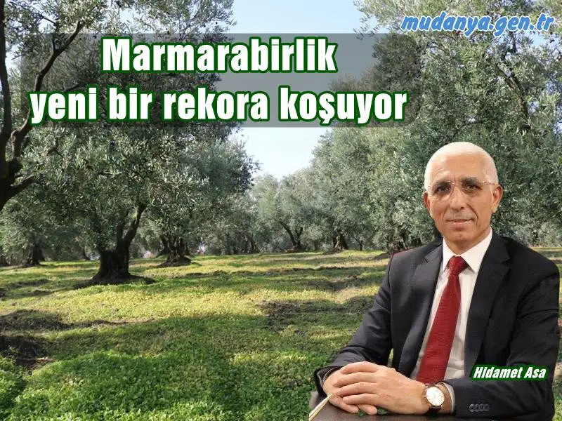 Rekolte beyan alımlarının devam ettiği Marmarabirlik’te 2024-2025 ürün alım kampanyası öncesi kooperatiflerden gelen rakamlar, rekor seviyede rekolte beyanının gerçekleşeceği yönünde.