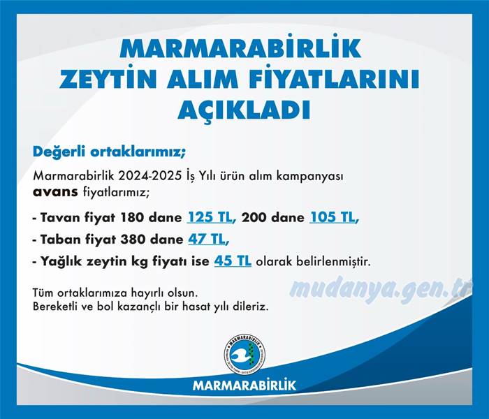 Marmarabirlik 2024 / 2025 iş yılında 60 bin ton ürün alacağını vurgulayarak sofralık ve yağlık zeytin alım fiyatlarını açıkladı.
