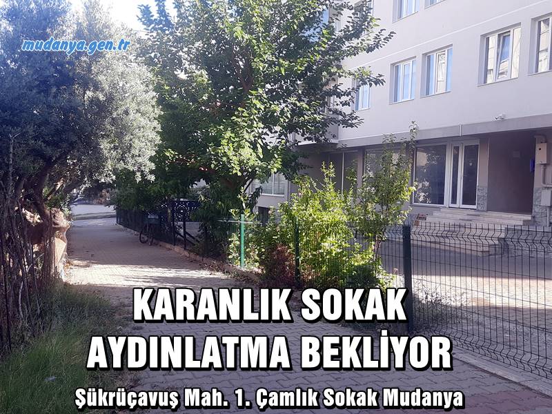 mudanya karanlik sokak