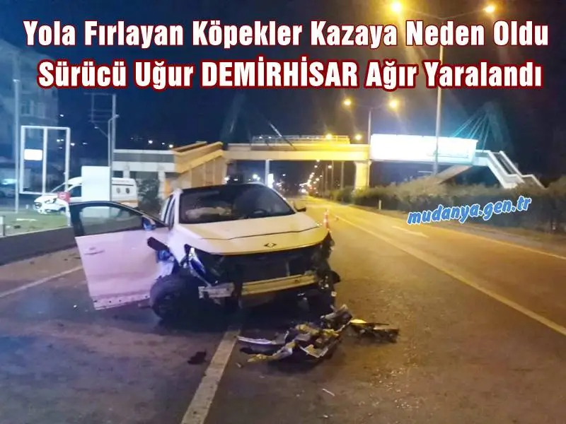 Mudanya eski belediye başkanı Erol Demirhisar’ın oğlu Uğur Demirhisar (44), aracıyla seyir halindeyken önüne çıkan köpeklere çarpmamak için manevra yaptı.