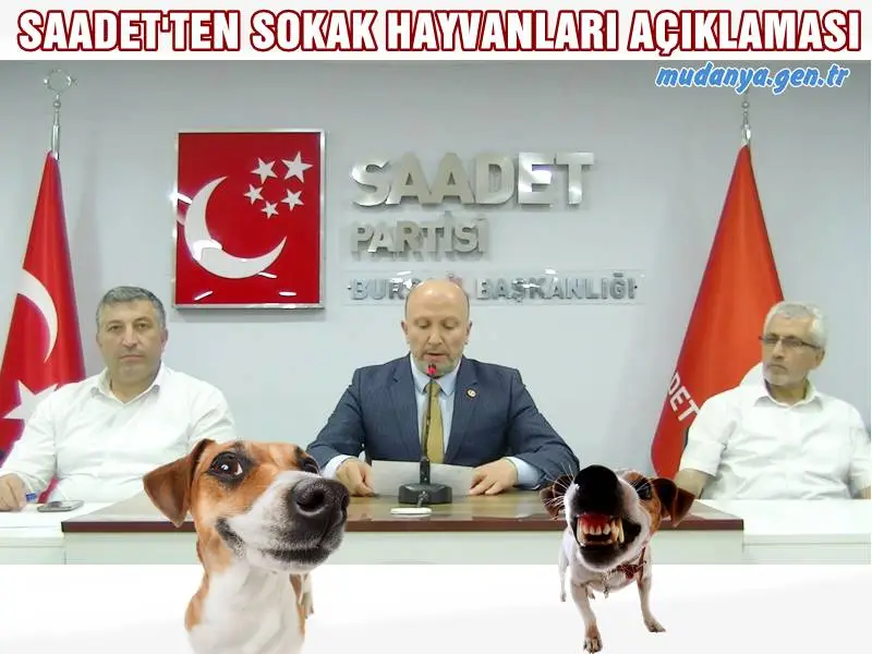 SAADET'TEN SOKAK HAYVANLARI AÇIKLAMASI