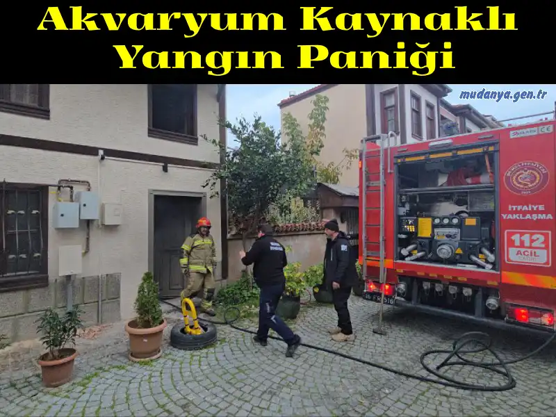 Mudanya’da Akvaryum Kaynaklı Yangın Paniği