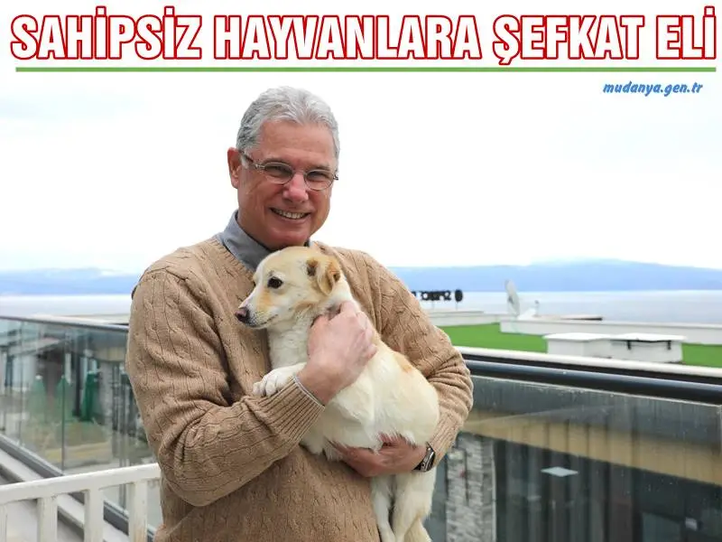 MUDANYA BELEDİYESİ’NDEN SAHİPSİZ HAYVANLARA ŞEFKAT ELİ