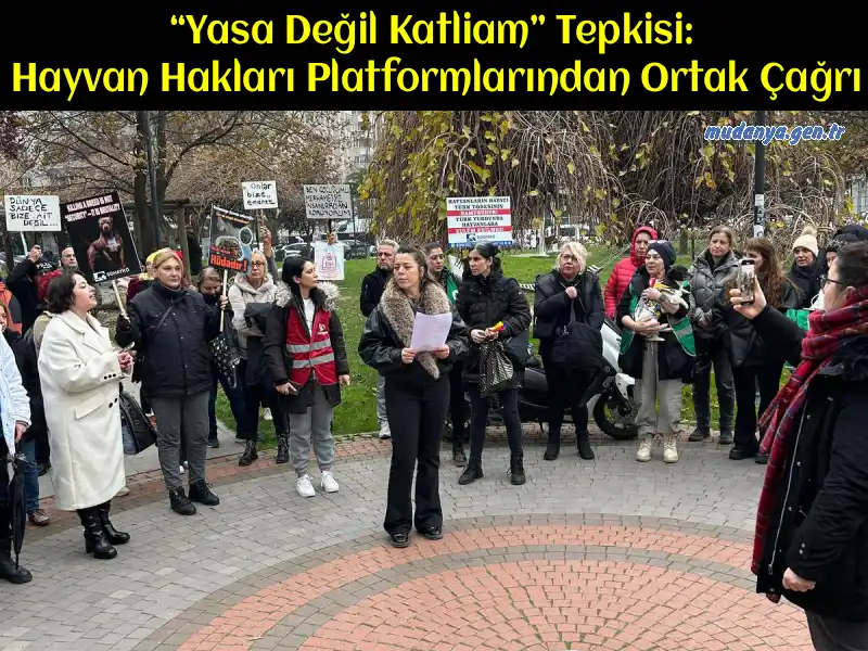 “Yasa Değil Katliam” Tepkisi: Hayvan Hakları Platformlarından Ortak Çağrı