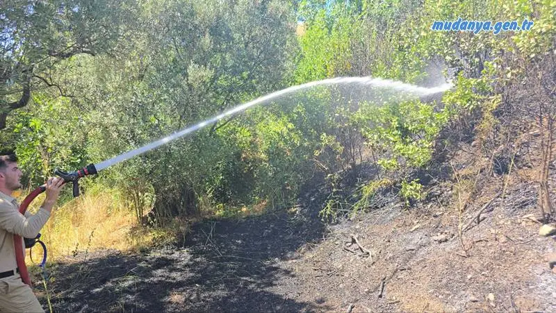 Bursa’nın Mudanya ilçesi Göktepe mevkiinde çıkan yangında yaklaşık 8 dönümlük zeytinlik ve çalılık alan zarar gördü. Alevlerin buğday tarlasına ulaşması son anda engellendi.