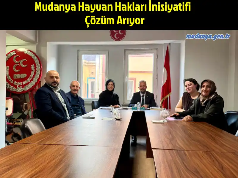 Mudanya Hayvan Hakları İnisiyatifi, ilçedeki sahipsiz hayvanlar sorununa kalıcı ve insani çözümler üretmek amacıyla siyasi partilerle görüşme trafiği başlattı.