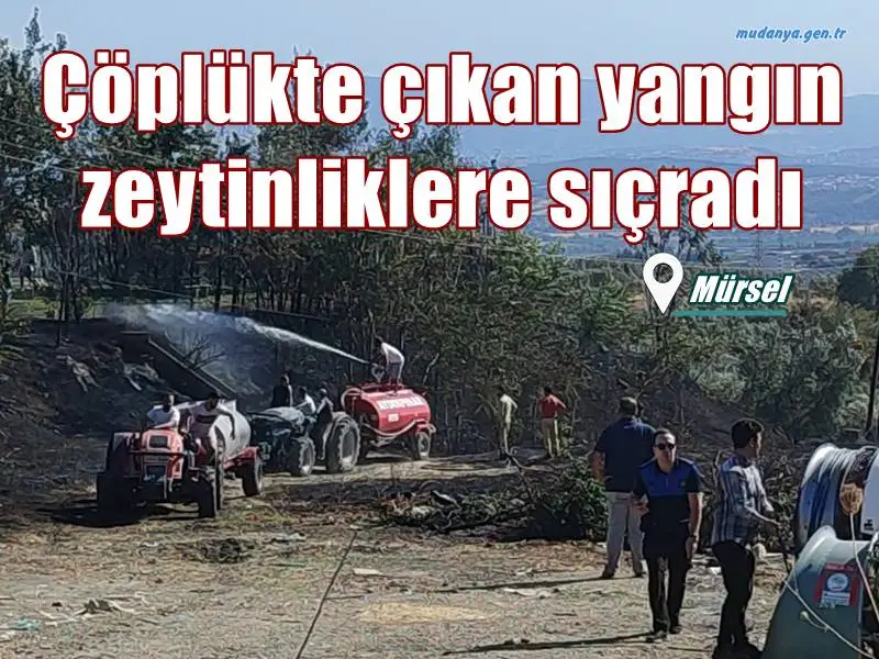 Mudanya Mürsel'de çöplükte çıkan yangın zeytinliklere sıçradı