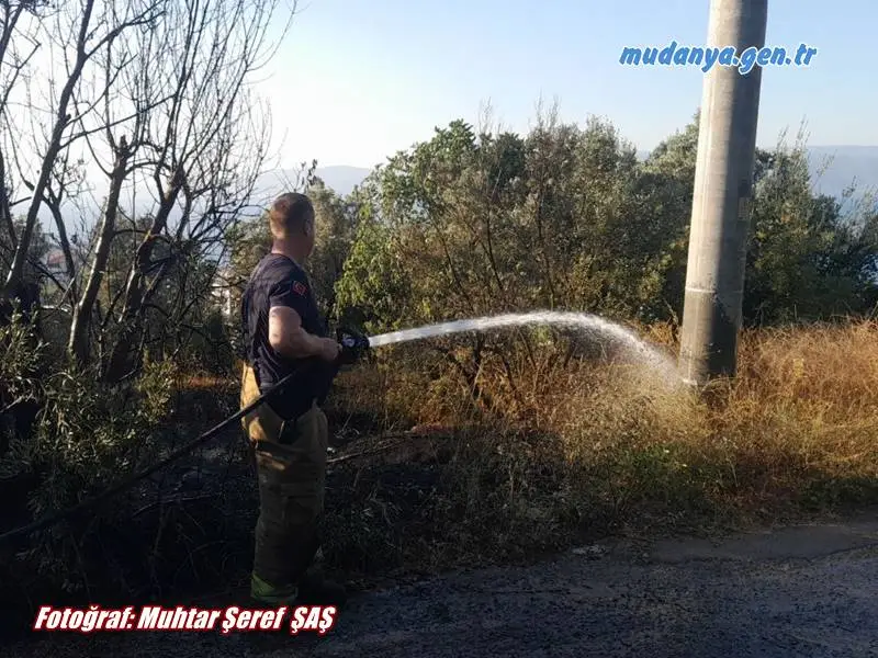 MUDANYA - Su Deposu ilerisinde Işıklı yolu İnci Villalarına giderken başlayan yangına hemen müdahele eden Mahalle Muhtarı Şeref Şaş itfaiye ekipleri, emniyet güçleri ve elektrik idaresi yangına müdahale ettiler