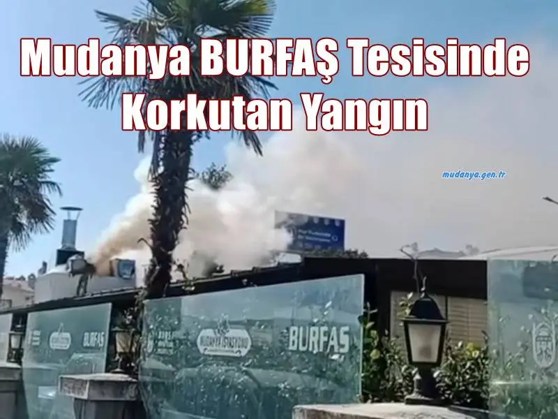 Mudanya BURFAŞ Tesisinde Korkutan Yangın: 911 Ekibi İlk Müdahaleyi Yaptı