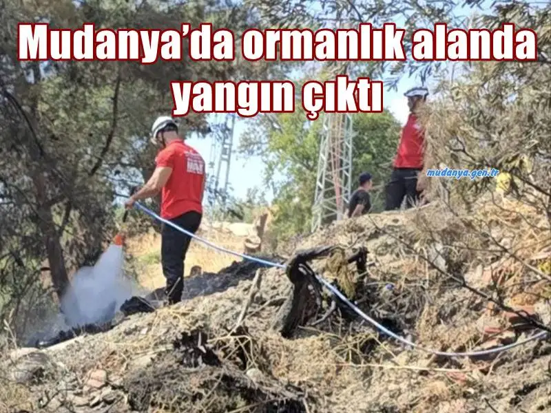 Mudanya’da ormanlık alanda yangın çıktı