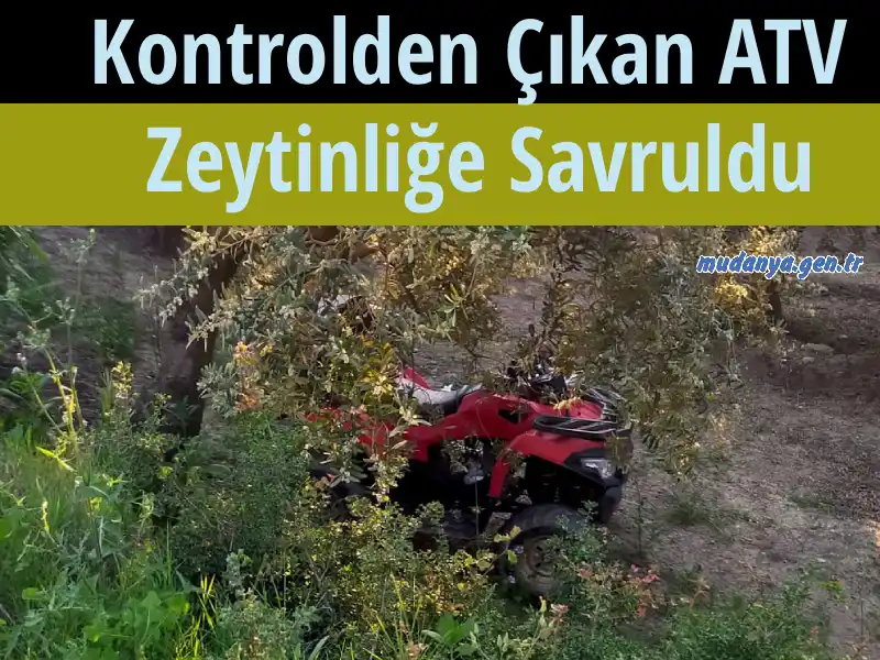 Kontrolden Çıkan ATV Zeytinliğe Savruldu
