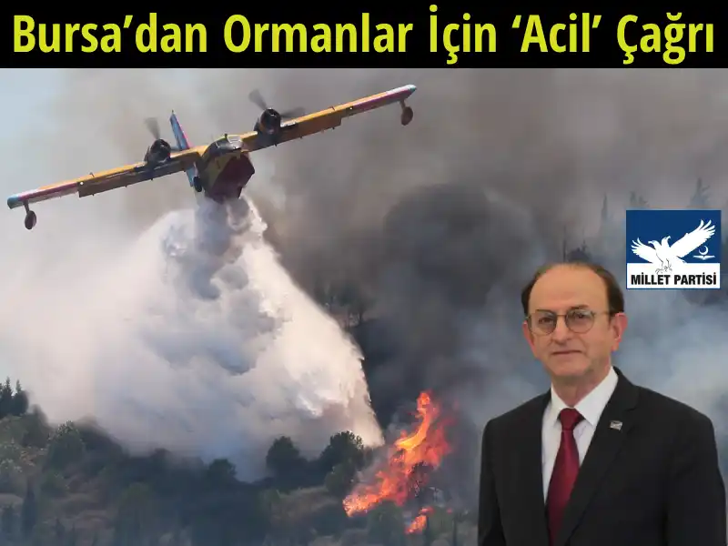 Bursa’dan Ormanlar İçin ‘Acil’ Çağrı