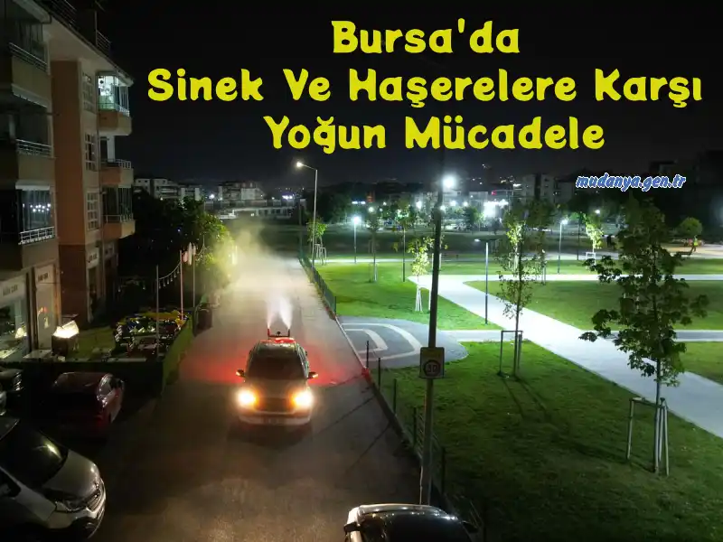 Bursa’da Sivrisinek ve Haşerelere Karşı Kapsamlı Mücadele Sürüyor
