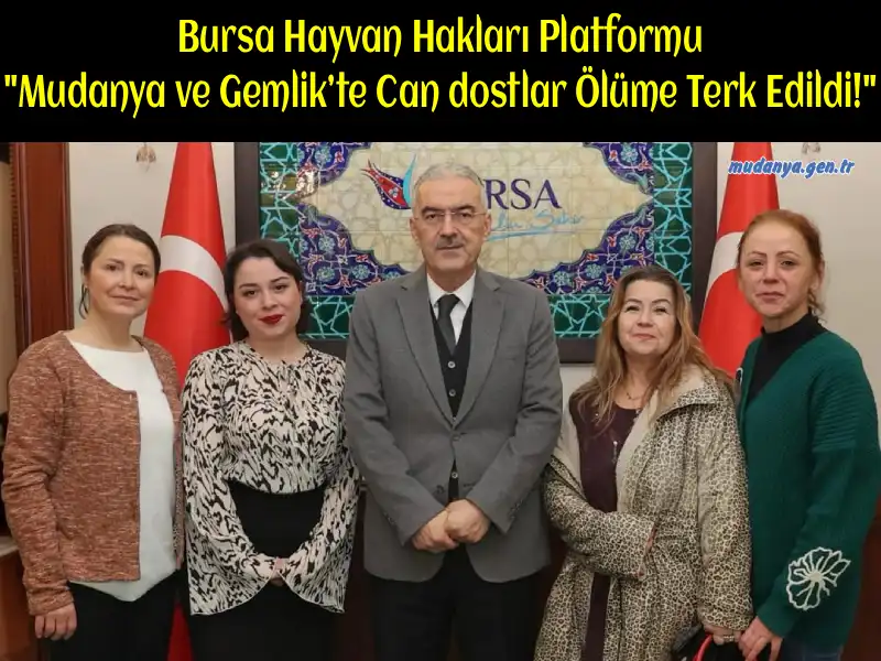 Bursa’da Sokak Hayvanları Alarm Veriyor: "Mudanya ve Gemlik’te Can dostlar Ölüme Terk Edildi!"