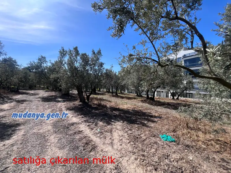 mudanya belediyesi satilik mulk guzelyali 2026 f