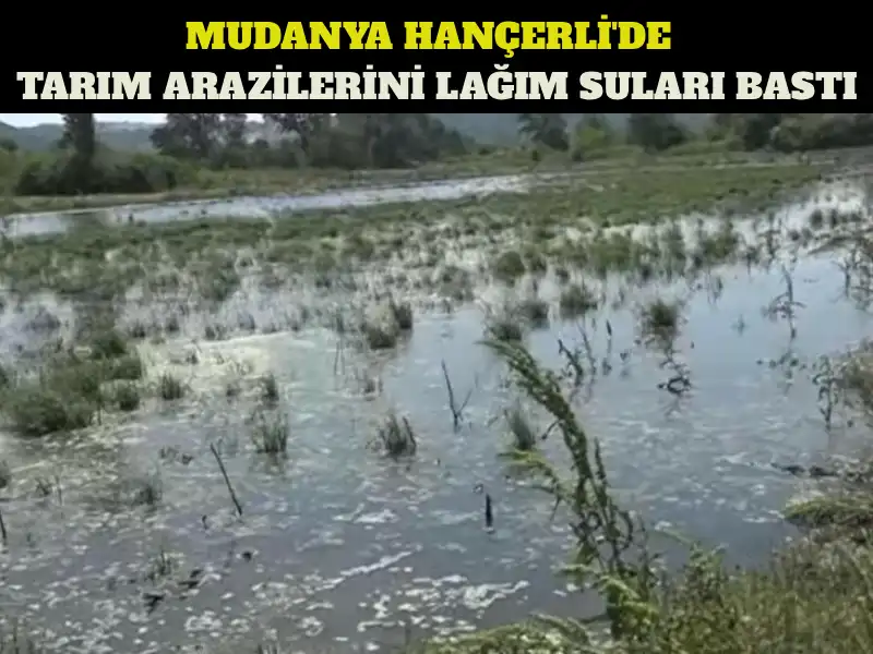 MUDANYA HANÇERLİ MAHALLESİ KANALİZASYON SULARIYLA MÜCADELE EDİYOR